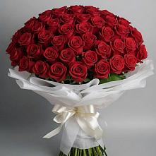Букет 101 Красная роза Блэк Мэджик в Чернянке