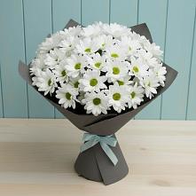 Букет цветов из:  Хризантемы #REPLACE_PRED# Чернянке