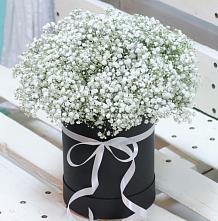 Цветочная композиция из Гипсофила в шляпной коробке #REPLACE_PRED# Чернянке