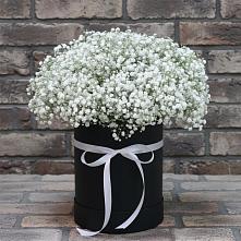 Цветочная композиция из Гипсофила в шляпной коробке #REPLACE_PRED# Чернянке