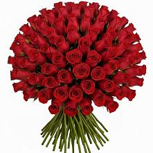 Букет Красные розы Чери Лав в Чернянке