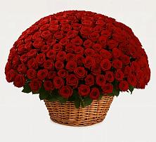 Премиум букет из: Розы в Чернянке
